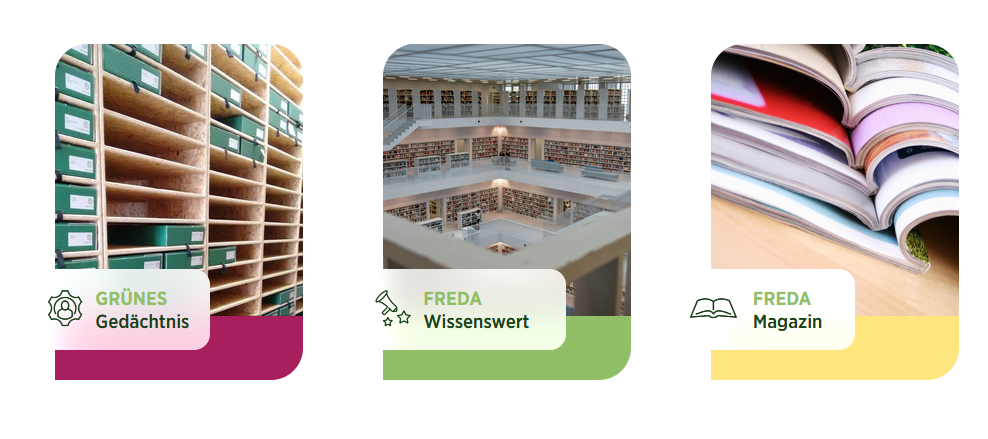 FREDA areas peek